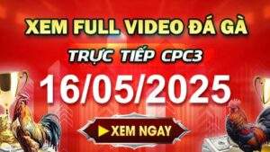 Xem Lại Video Đá Gà CPC3 Ngày 16-05-2025 cùng GACAM67