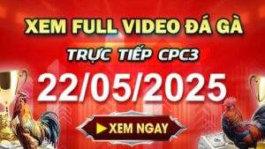Xem Lại Video Đá Gà CPC3 Ngày 22-05-2025 cùng GACAM67