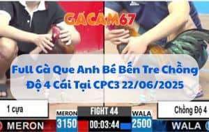 Full Gà Que Anh Bé Bến Tre Chồng Độ 4 Cái Tại CPC3 22/06/2025