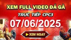 Xem Lại Video Đá Gà CPC3 Ngày 07-06-2025 cùng GACAM67