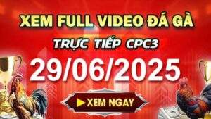 Xem Lại Video Đá Gà CPC3 Ngày 29-06-2025 cùng GACAM67