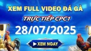 Xem lại video đá gà CPC1 ngày 28_07_2025 tại Gacam67