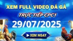 Xem lại video đá gà CPC1 ngày 29_07_2025 tại Gacam67