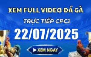 Xem Lại Video Đá Gà CPC1 Trực Tiếp Ngày 22/07/2025