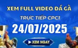 Xem Lại Video Đá Gà CPC1 Trực Tiếp Ngày 24/07/2025
