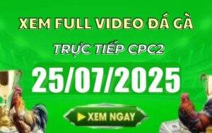 Xem Lại Video Đá Gà CPC2 Trực Tiếp Ngày 25/07/2025