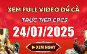 Xem Lại Video Đá Gà CPC3 Trực Tiếp Ngày 24/07/2025