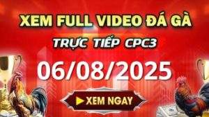 Xem Lại Video Đá Gà CPC3 Trực Tiếp Ngày 06_08_2025