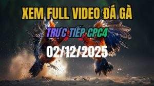 Xem Lại Video Đá Gà CPC4 Trực Tiếp Ngày 02/12/2025