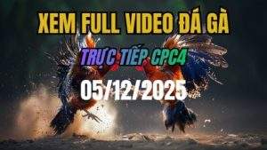 Xem Lại Video Đá Gà CPC4 Trực Tiếp Ngày 05/12/2025