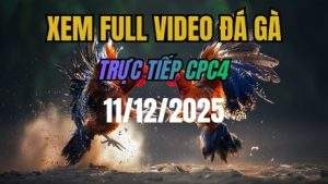 Xem Lại Video Đá Gà CPC4 Trực Tiếp Ngày 11/12/2025