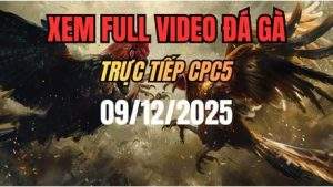 Xem Lại Video Đá Gà CPC5 Trực Tiếp Ngày 09/12/2025