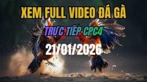 Xem Lại Video Đá Gà CPC4 Trực Tiếp Ngày 21/01/2026