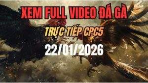 Xem Lại Video Đá Gà CPC5 Trực Tiếp Ngày 22/01/2026